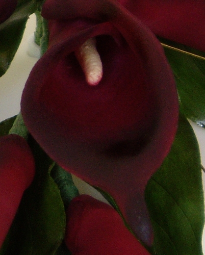 Calla Cascade Wedding Cake