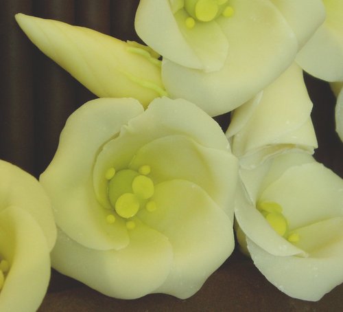 Chocolate Lisianthus Wedding Cake