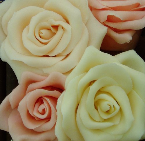 Chocolate Curls and Roses Wedding Cake