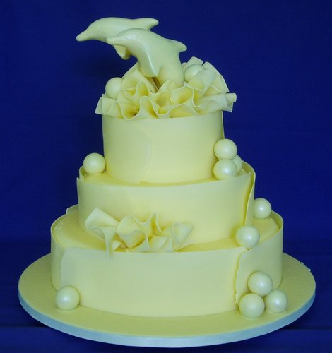 Chocolate Dolphin Wedding Cake