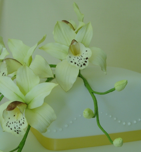 Orchid Cascade Wedding Cake