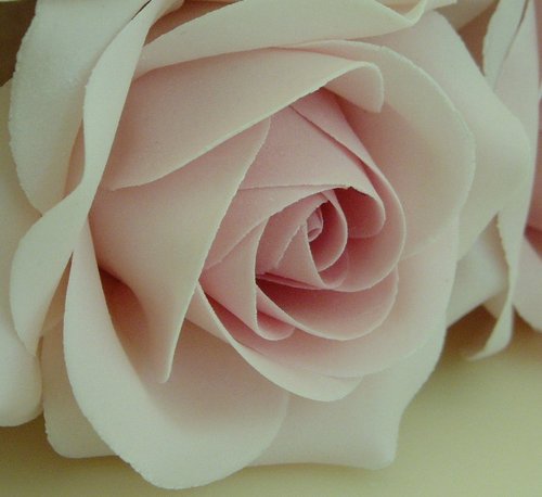 Pink Roses Wedding Cake